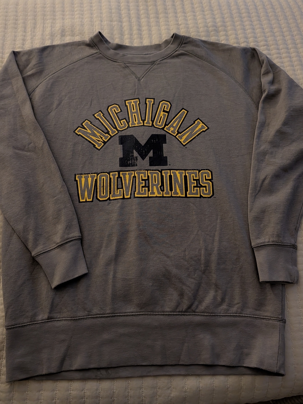 Champion Michigan Wolverines Gray Crewneck with Yellow and Navy Logo